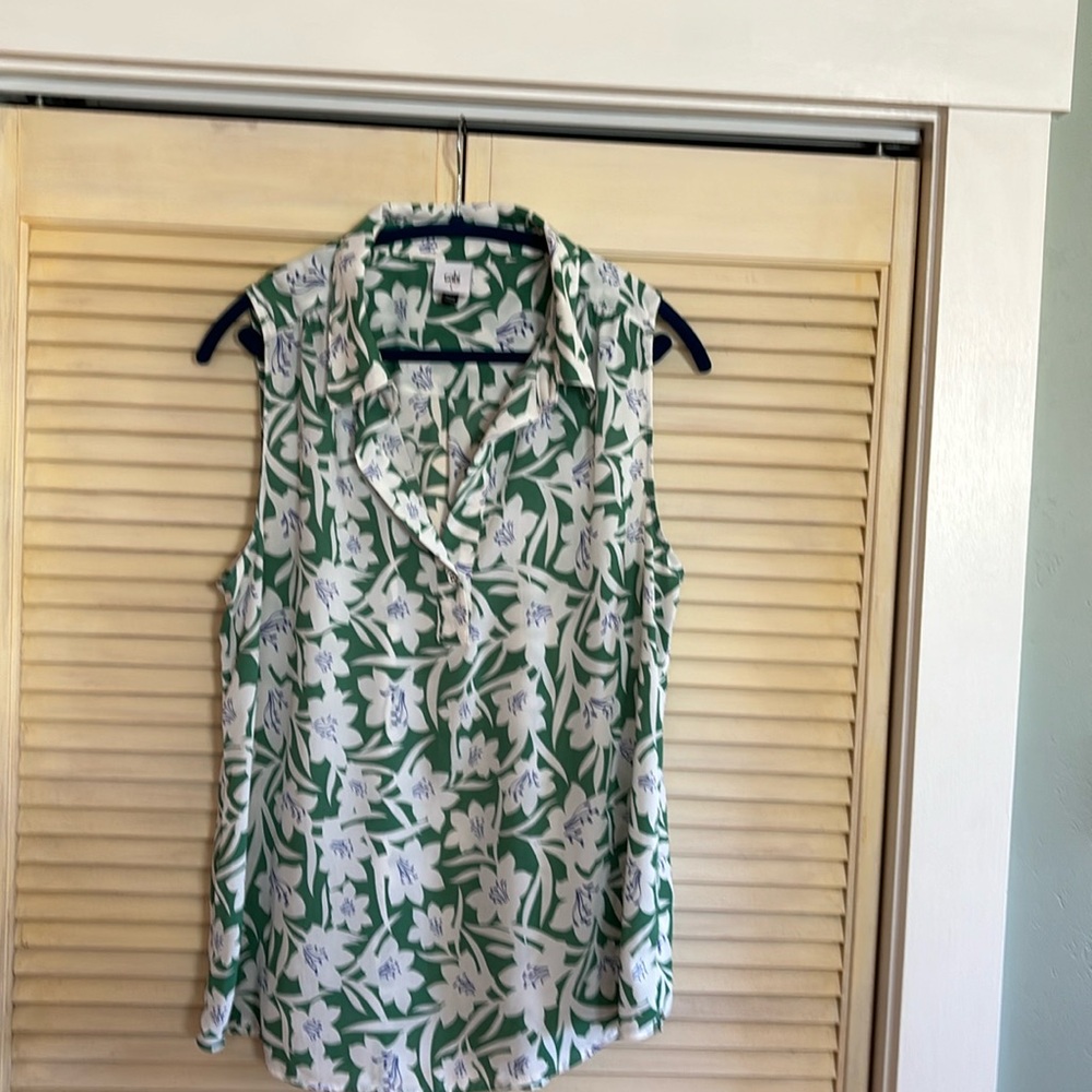Cabi Bloom top